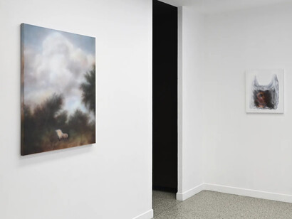 Helena Minginowicz, Out of order, exhibition view. Courtesy of Galerie Prima