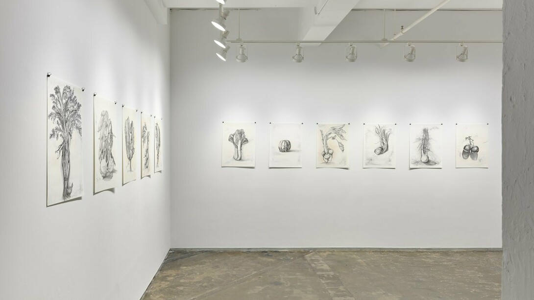 Garden Drawings, Exhibition View, 2023. Courtesy of A.I.R Gallery