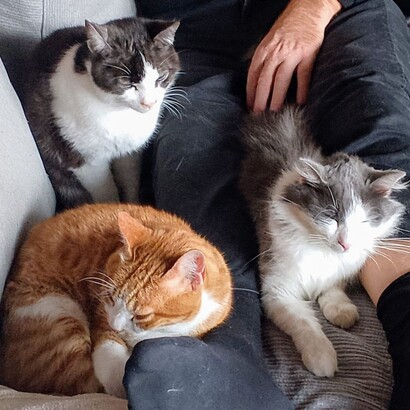 Affrontare la vita significa accogliere ogni giorno come un'opportunità, senza cercare di controllare tutto ma imparando a fluire con ciò che arriva