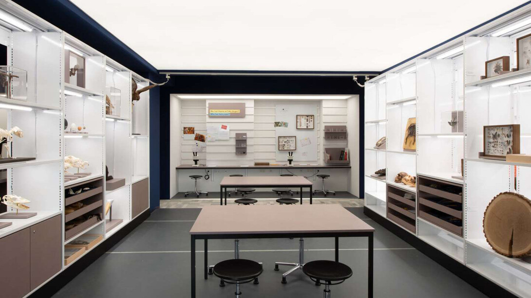 Aha! Science lab, exhibition view. Courtesy of Senckenberg Naturmuseum