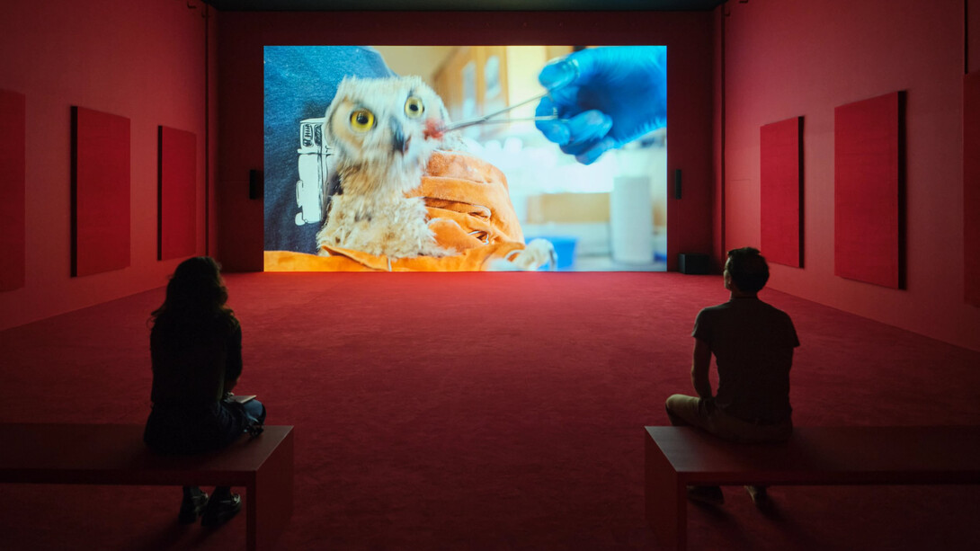 Camille Henrot, In the veins, exhibition view. Courtesy of LUMA Arles