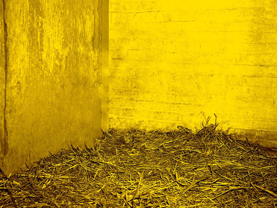 Jonathan Calm, Detail of "Deer Chamber 3", 2013 archival pigment print 16 x 100 inches Edition of 5. Courtesy of LMAKprojects, NY