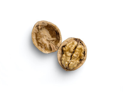 Nuts are a great source of protein