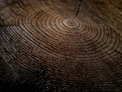 L'Elemento Legno