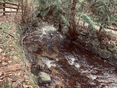 Fast-moving currents at Still Creek, symbolizing the creek's untamed character