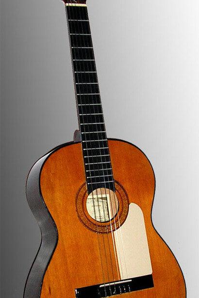 Guitarra española. La guitarra es un instrumento de cuerda pulsada que quizás sea el cordófono que más se ha extendido en el paso del tiempo y por las más diversas civilizaciones del mundo