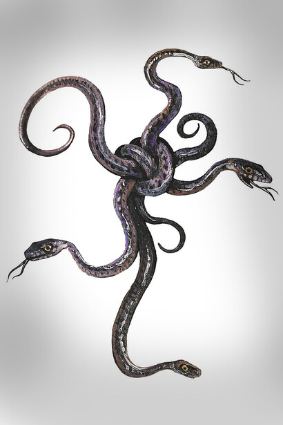 Le serpent. Les trois couleurs primaires, le noir, le blanc et le rouge, sont les vêtements que le serpent revêt successivement la nuit, le jour et au crépuscule