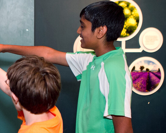 Take a Closer Look. Courtesy of Museum of Science 