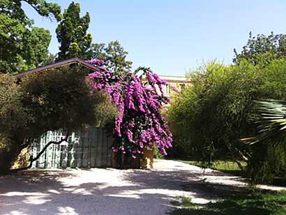 L'edificio dove Paola Lanzara teneva le conferenze per il Giardino Romano