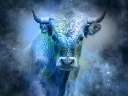 Per il Toro fortuna in amore