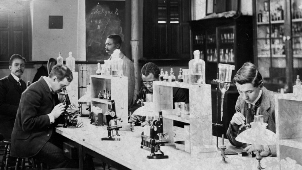 Color Line. Courtesy of Portland Art Museum