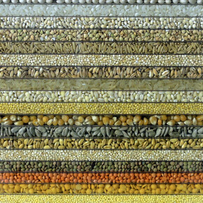 Loris Cecchini, The polychromeseedsessions (collection 1), 2015, natural seeds incapsulated into UV-shielded alveolar polycarbonate, wood and metal frame, 151 x 201 x 5 cm