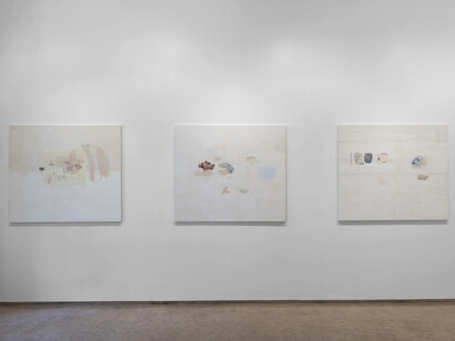  Shikh Sabbir Alam, বনমানুষ, bon-manush, exhibition view. Courtesy of Experimenter