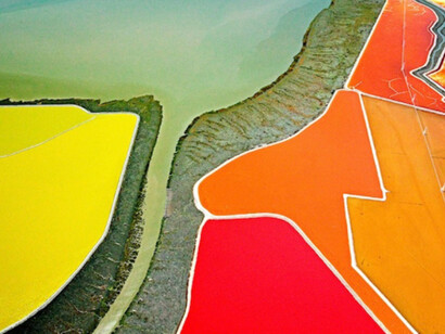 Illusionary Reality. Courtesy of The McLoughlin Gallery