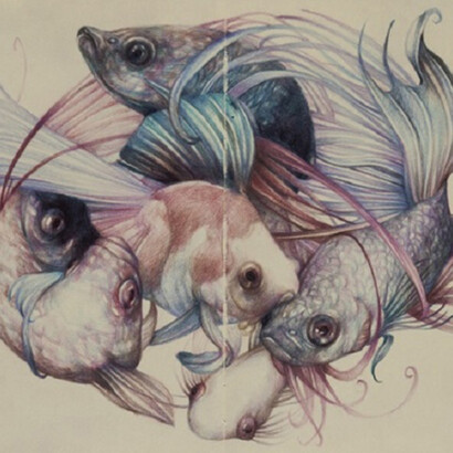 Fish Composition