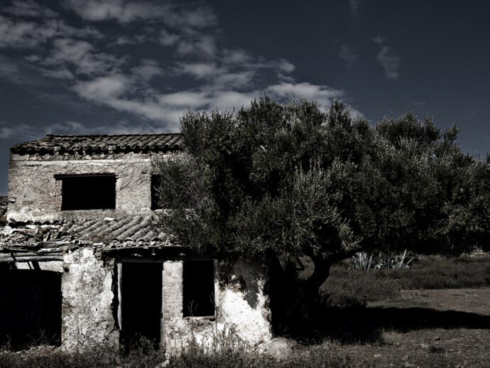 Carlo Vannini, Villaggio Asproni 
