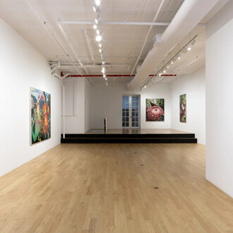 Kate Bickmore, On the precipice, exhibition view. Courtesy of Chart Gallery