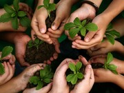 Save our planet one plant at a time, planting trees together