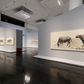 Still waters run deep, exhibition view. Courtesy of Tsinghua University Art Museum
