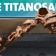 Miriam and Ira D. Wallach Orientation Center. Courtesy of American Museum of Natural History