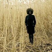 Simmons Xaviera, One Day Standing, Rubell Family Collection