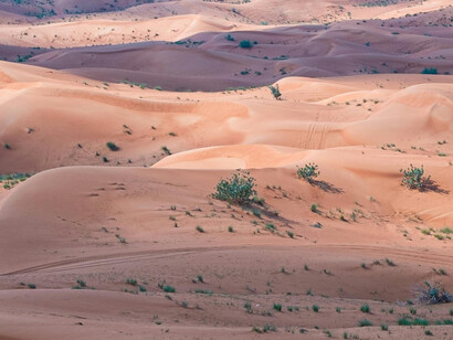 The Western Sahara is central to renewed French support for Morocco’s sovereignty 