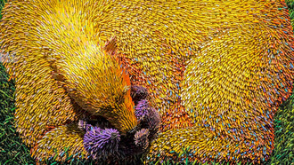 Arte da riciclo, orsa gioca con il suo piccolo, © Federico Uribe. Gli orsi, con il loro lato tenero e buono, fatti con le punte rimaste delle matite colorate, in un arcobaleno variopinto ed allegro