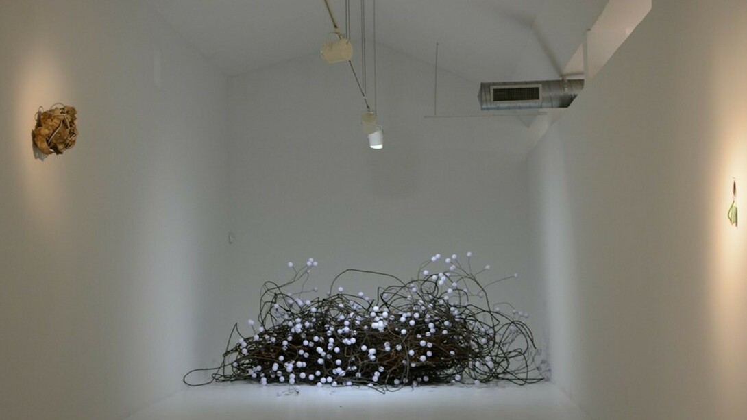 Bailando en Casa del Trompo, Exhibition view. Courtesy of Diana Lowenstein Gallery