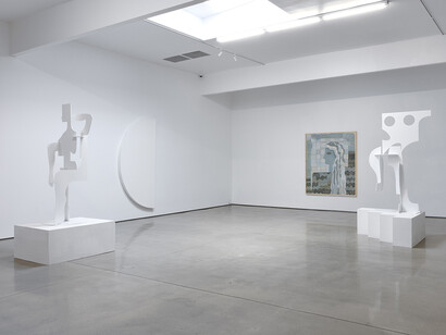 Carolyn Salas, Night vision, exhibition view. Courtesy of The Hole