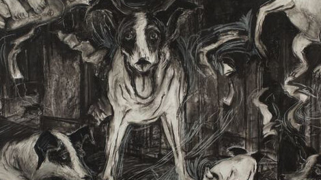 Heart of a dog