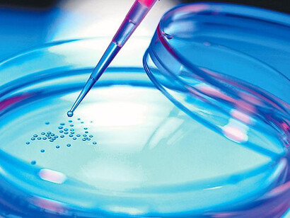 Petri dish