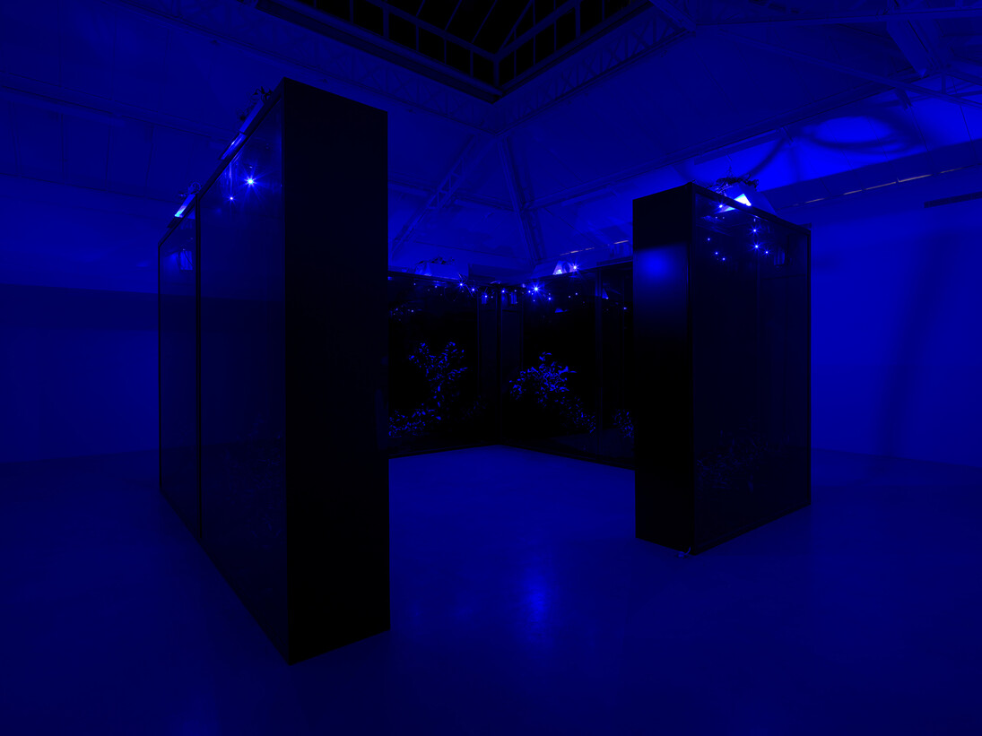 Hicham Berrada, Celeste, 2014, Color video. Grey sky, sky blue smoke, 5 min 55 s, View of the exhibition "Paysages a circadiens", kamel mennour (6 rue du Pont de Lodi), Paris, 2015 © Hicham Berrada © Photo. Fabrice Seixas, Courtesy the artist and kamel mennour, Paris