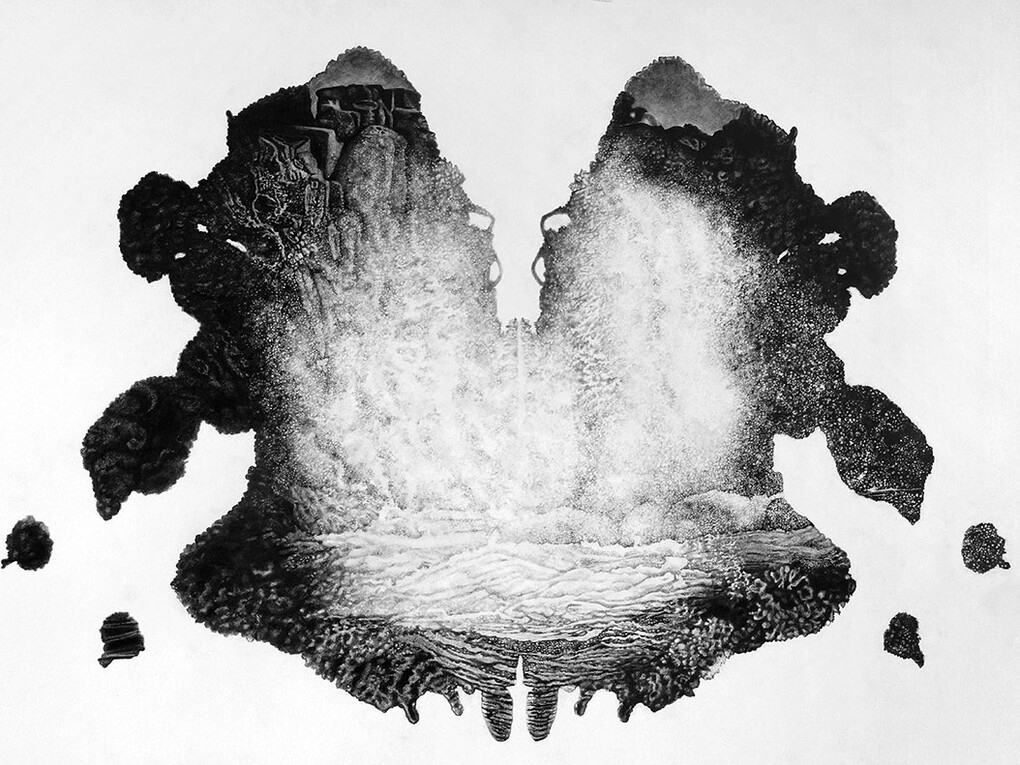 Colette Robbins, Amygdala, 2014, Graphite on paper, 40 x 60 inches 