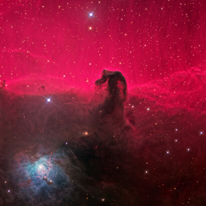 El color rojizo de la nebulosa Cabeza de Caballo se origina por la recombinación de los electrones con los protones de los átomos de hidrógeno