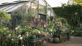 Petersham Nurseries Cafe. Credit Marimo Images