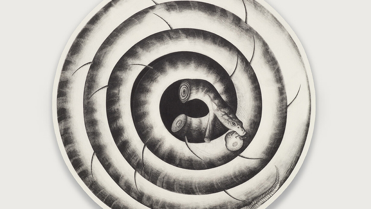 Sarah Woodfine, Forever and ever, pencil on paper on aluminium, 2015
