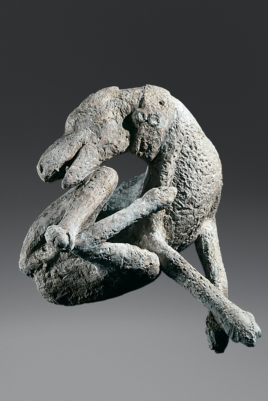Dog
Plaster cast 
Pompeii, House of Orpheus 
Soprintendenza Speciale per Pompei, Ercolano e Stabia (SSPES)

Photo © Sven Hoppe / dpa / CORBIS
