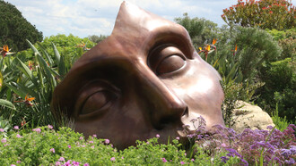 Do you see the face of mother nature when you are in nature? Cape Town, WC, South Africa