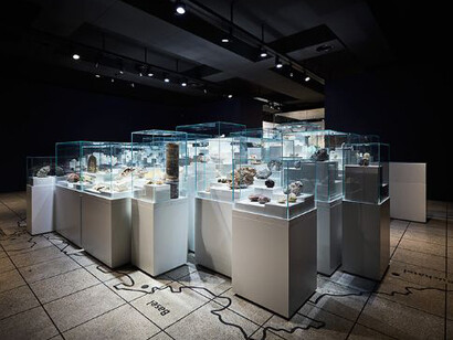 Nature Showcase. Courtesy of Naturhistorisches Museum Basel