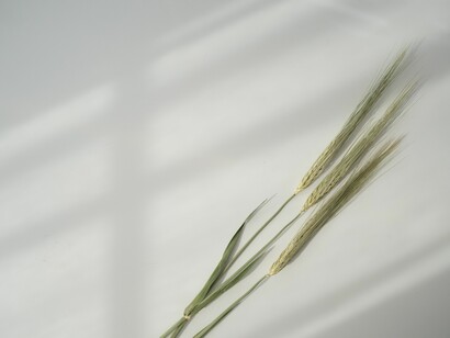 Parole uniche, preziose, depositate su di un foglio