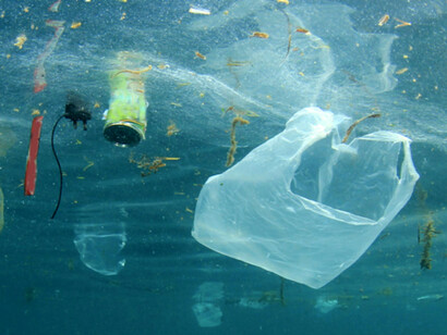 Single-use plastics, floating in the ocean, are one of the biggest polluters of our planet