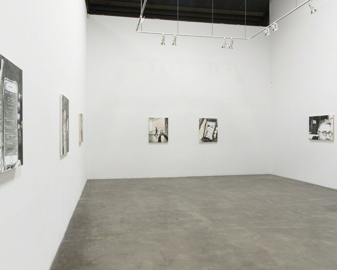 Embedded, Exhibition view. Courtesy of Lora Schlesinger Gallery