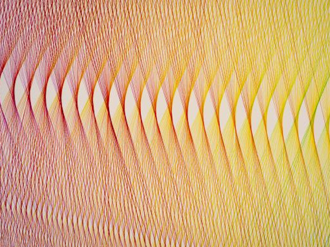 David Ellis. Animal. Courtesy of Amon Carter Museum of American Art