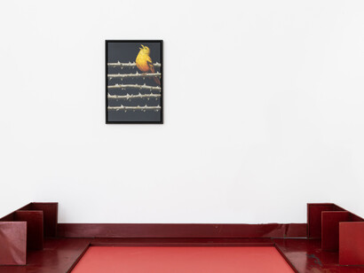 Eckart Hahn, Spirits We’ve Called, installation view, photo by Clemens Kois. Courtesy the artist and Pablo's Birthday, NYC