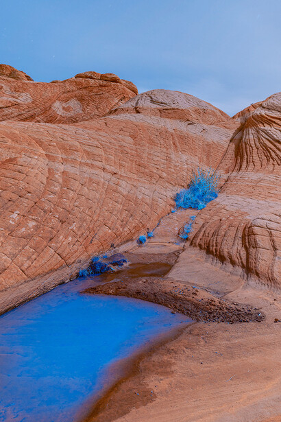 Cody Cobb, CC3156 (detail). Archival pigment print. Framed in white with plexiglass. Courtesy of the artist and Foster/White Gallery