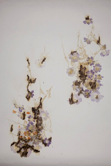 Akira Inumaru, from the series Ignis fatuus (Jack-o’-Lantern), 2013, mixed technique / paper, 109,5 × 79 cm, MOCAK Collection, photo: R. Sosin