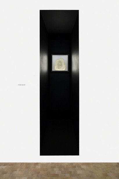 Jitish Kallat. The Box. Courtesy of Pippy Houldsworth Gallery