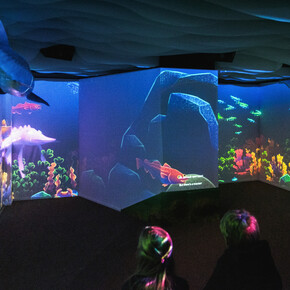 Maria the Sturgeon’s dream, exhibition view. Courtesy of Estonian Natural History Museum