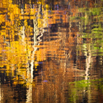 Tammy Trocki, Water Abstracts 6