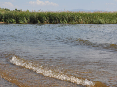 Prespa Lake. Ph. Pierre H. Lavi